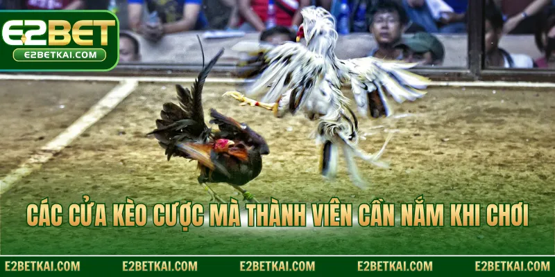 Các cửa kèo cược mà thành viên cần nắm khi chơi
